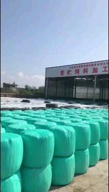 四川省专家组来绵阳市监督检查饲料和饲料添加剂生产企业